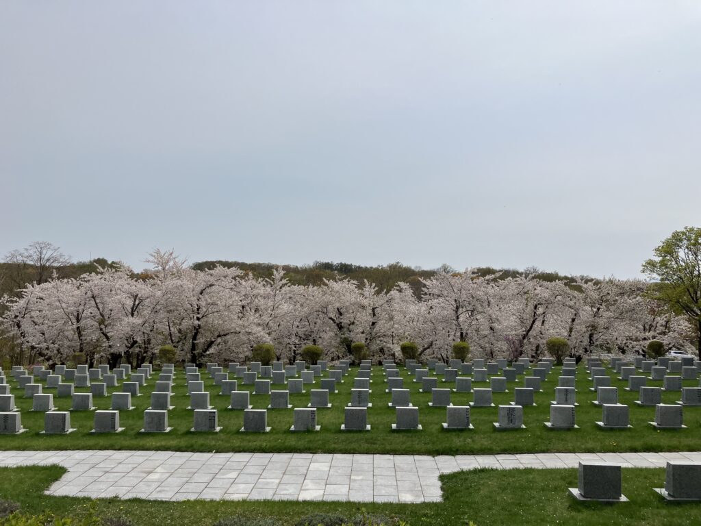 戸田記念墓地公園の桜